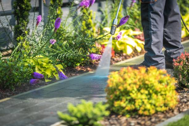 Best Dumpster Area Cleaning  in Price, UT